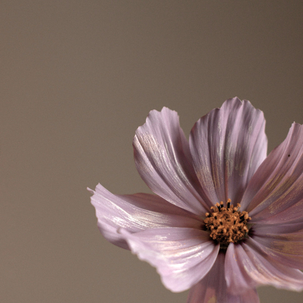 14 Inch Slimline Laptop Sleeve | Petal Creme