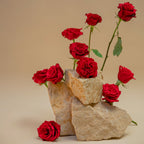 A5 Planner Organizer (6-Ring) | Siren